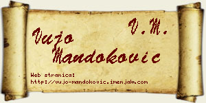 Vujo Mandoković vizit kartica